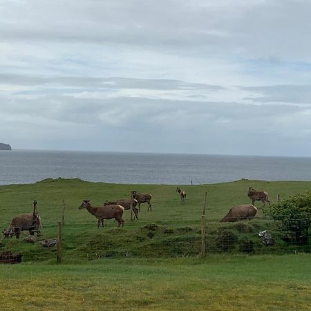 Coral Cabins Dunvegan  Quarto foto